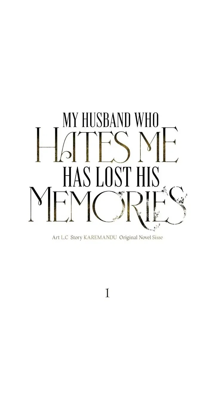 My Husband Who Hates Me Has Lost His Memories Chapter 1 – Page 6