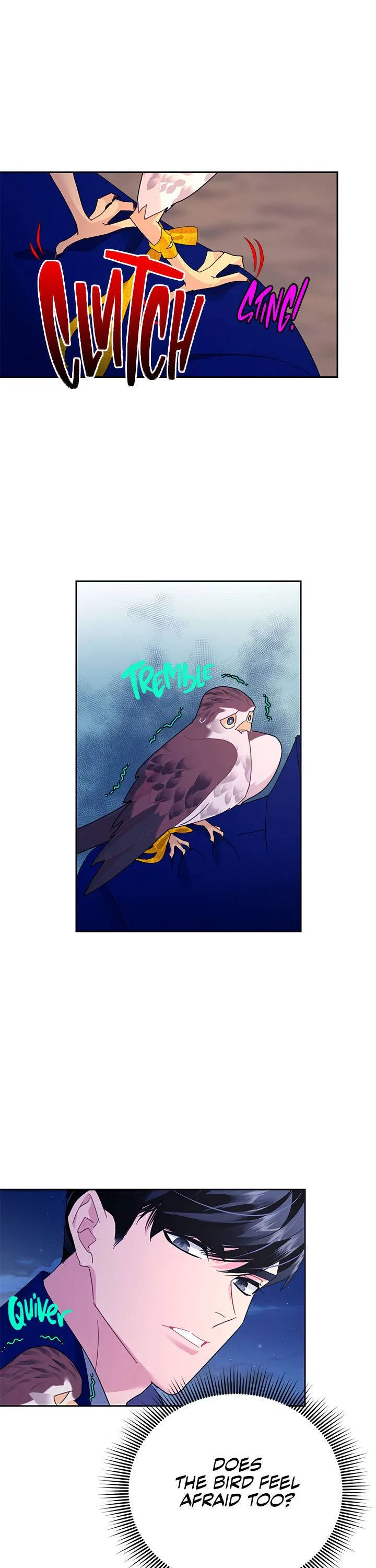 The Falcon Princess Chapter 36 – Page 17
