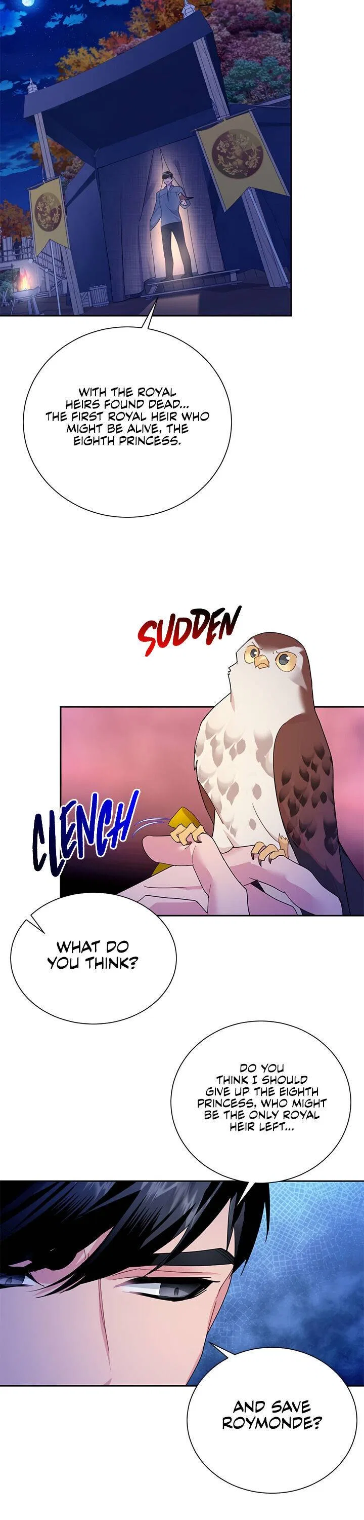 The Falcon Princess Chapter 29 – Page 12