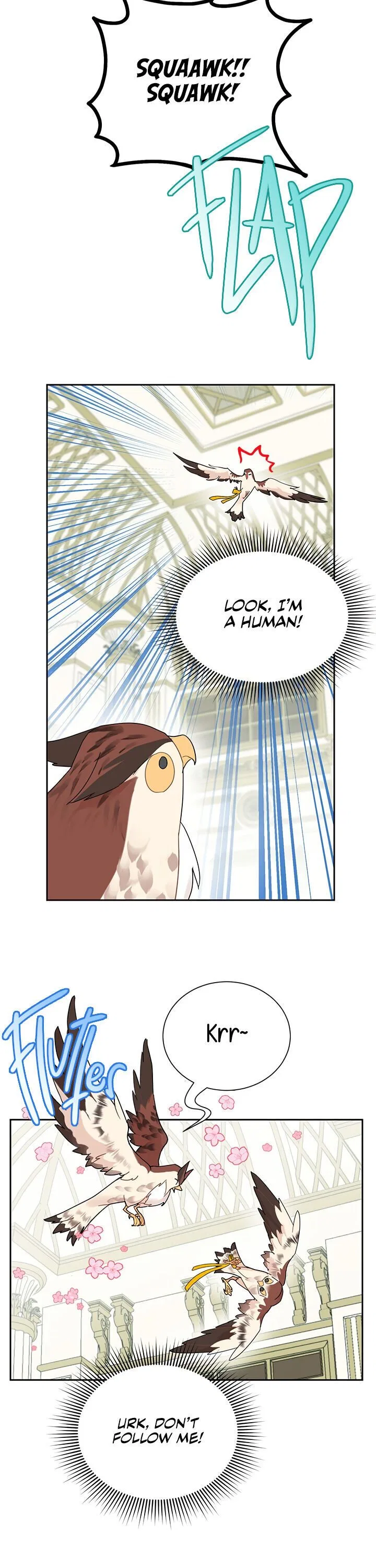 The Falcon Princess Chapter 25 – Page 3