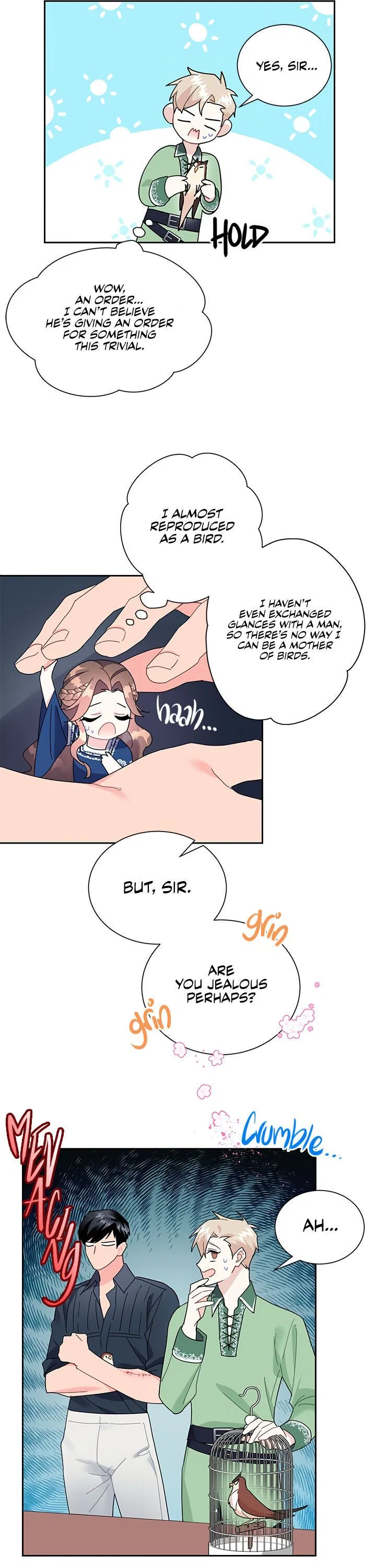 The Falcon Princess Chapter 25 – Page 5
