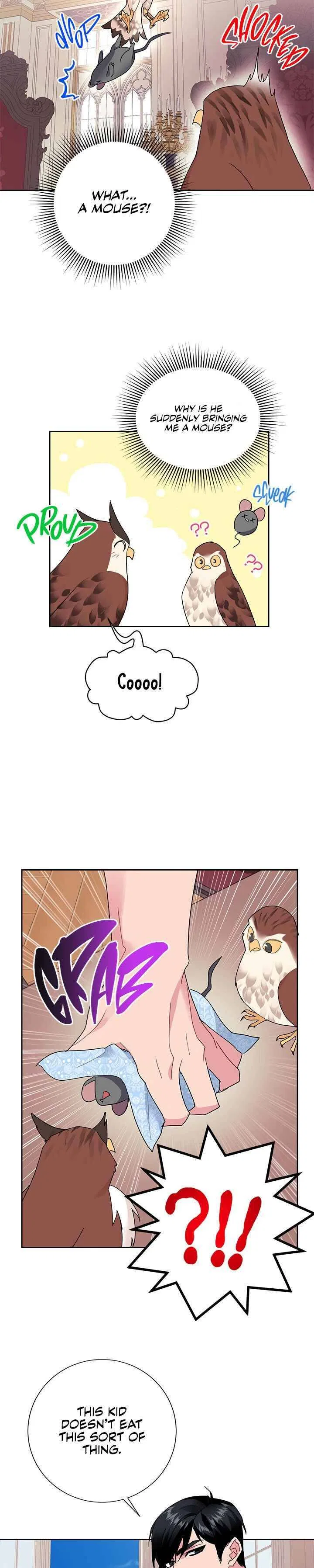 The Falcon Princess Chapter 24 – Page 19