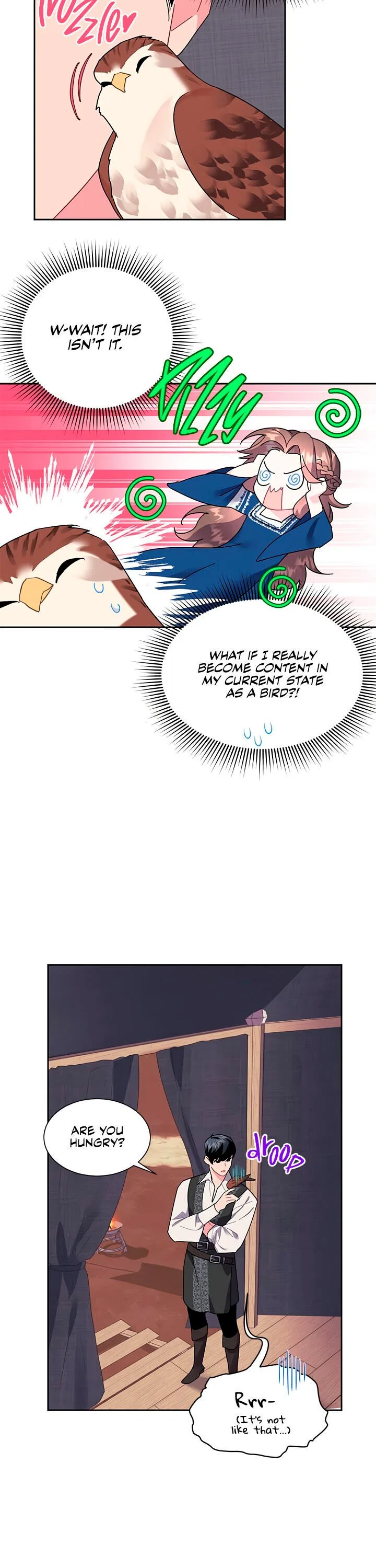 The Falcon Princess Chapter 23 – Page 13