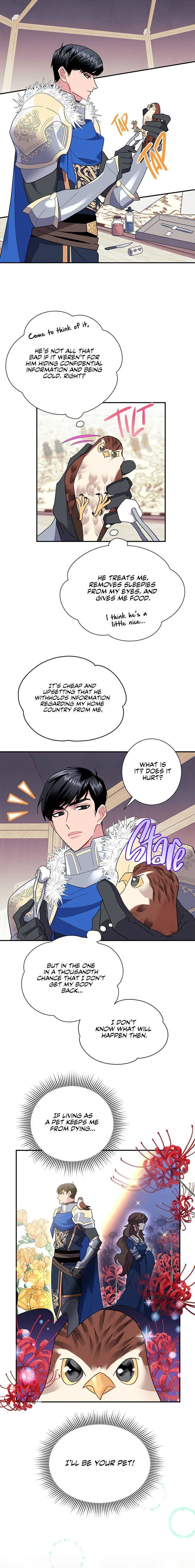 The Falcon Princess Chapter 20 – Page 9