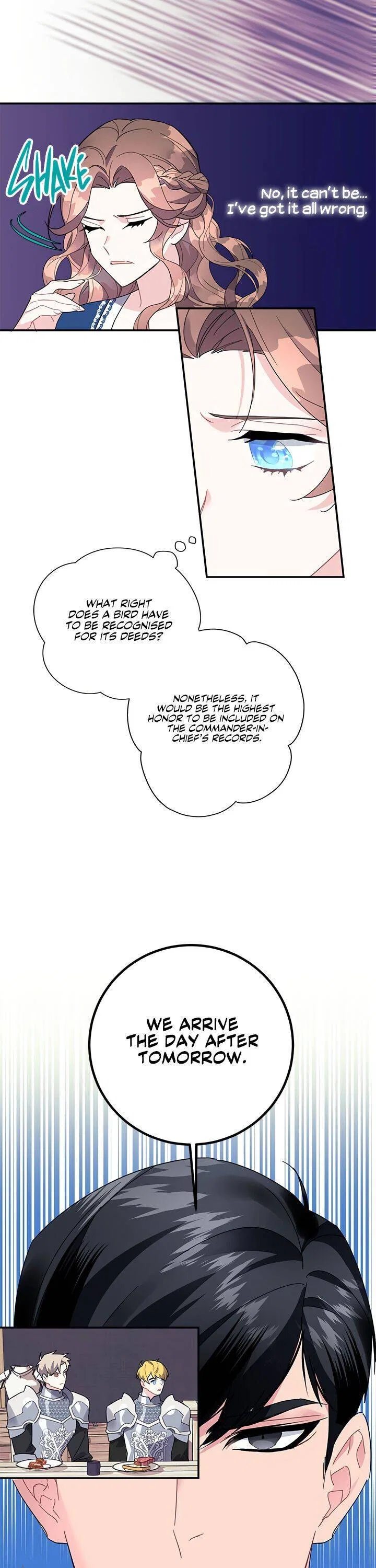 The Falcon Princess Chapter 20 – Page 24