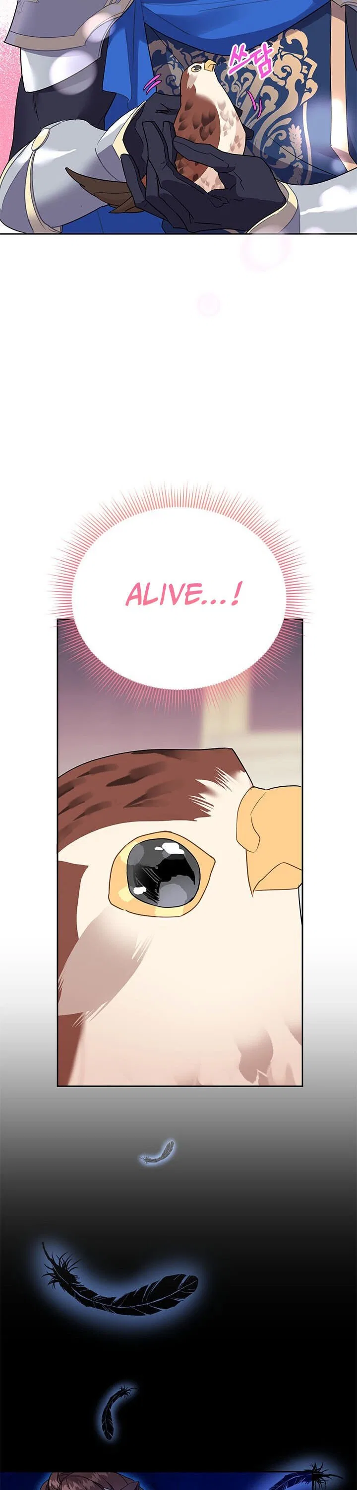 The Falcon Princess Chapter 6 – Page 22