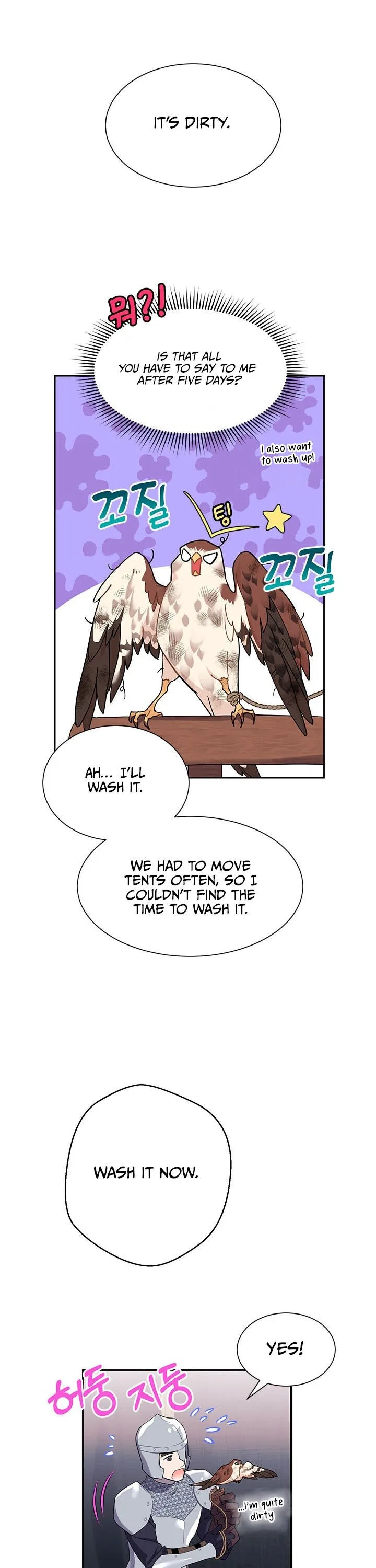 The Falcon Princess Chapter 5 – Page 17