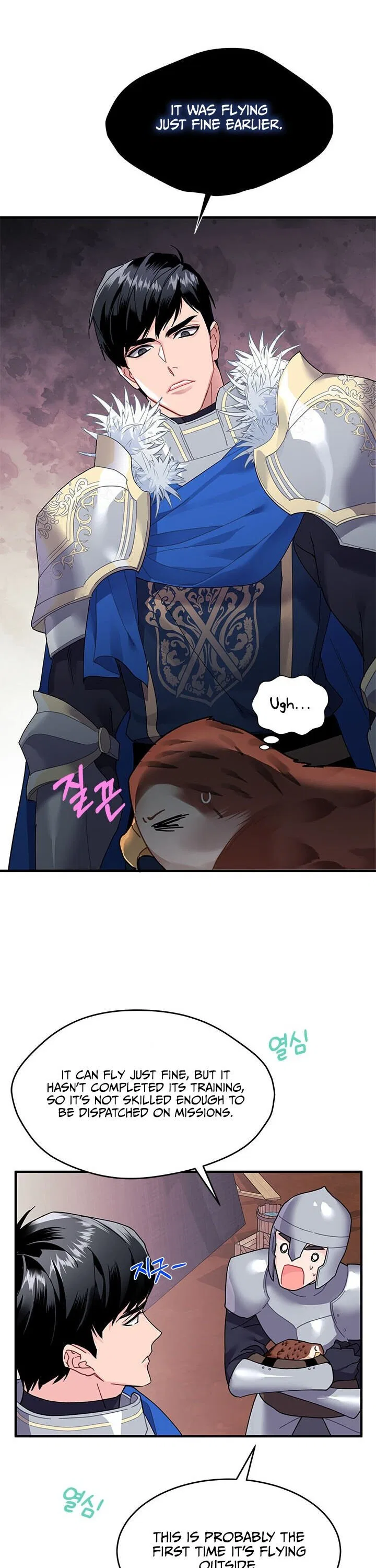 The Falcon Princess Chapter 3 – Page 17