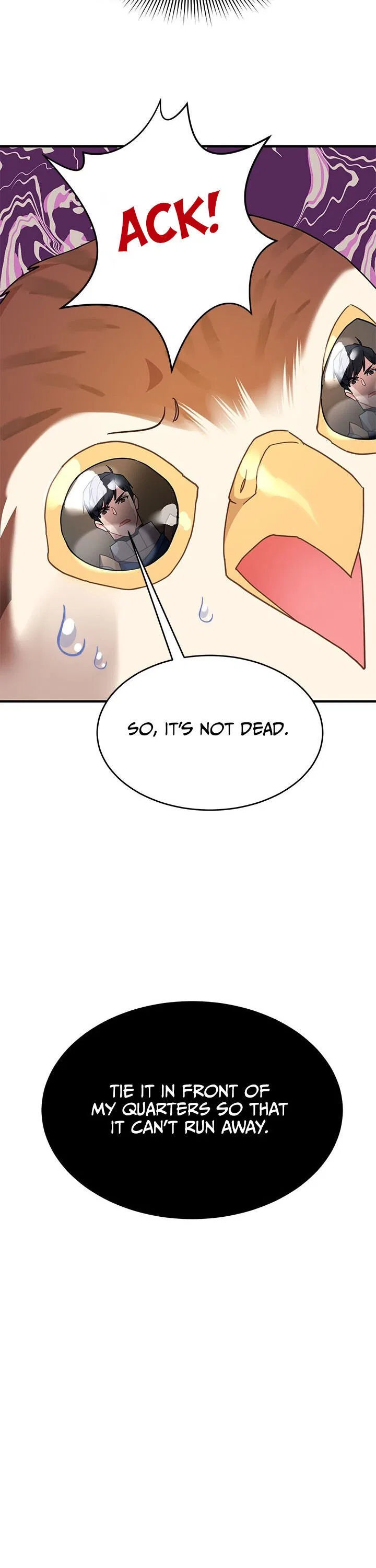 The Falcon Princess Chapter 3 – Page 21