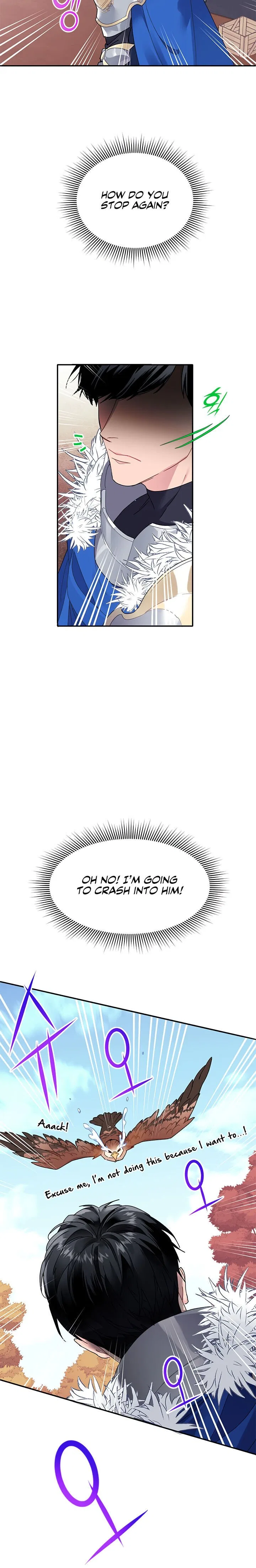The Falcon Princess Chapter 2 – Page 22