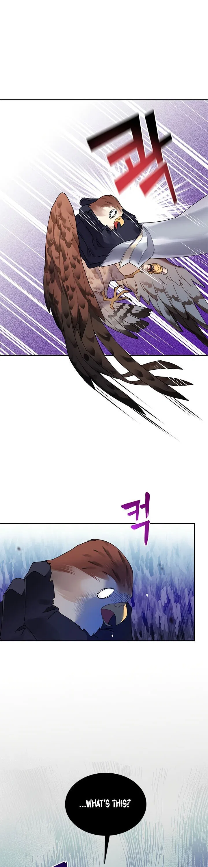The Falcon Princess Chapter 2 – Page 23
