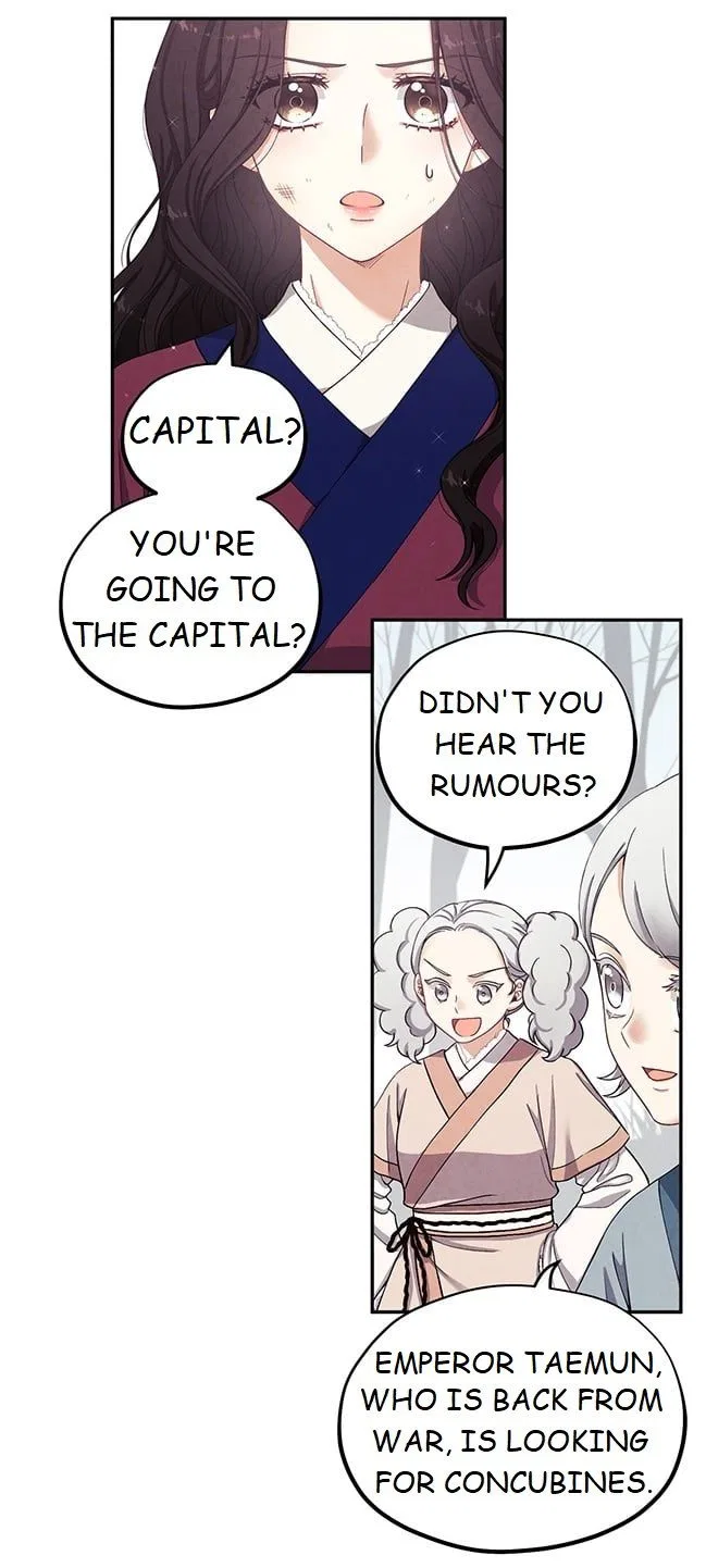 Elixir of the Sun Chapter 1 – Page 63