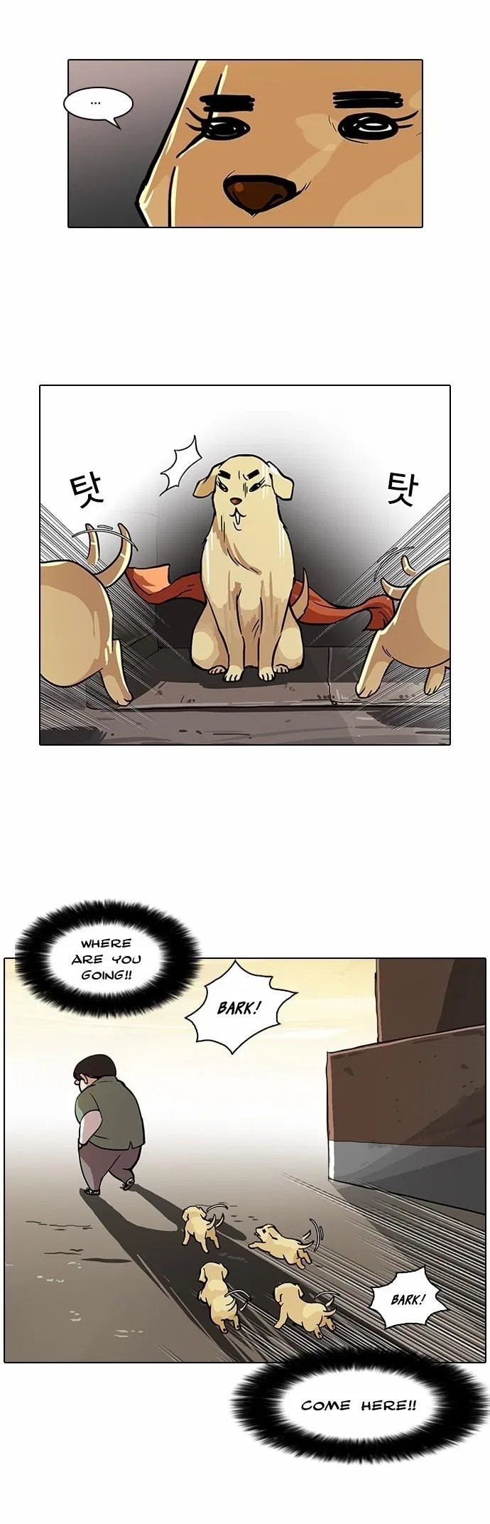 Lookism Chapter 62 – Page 22