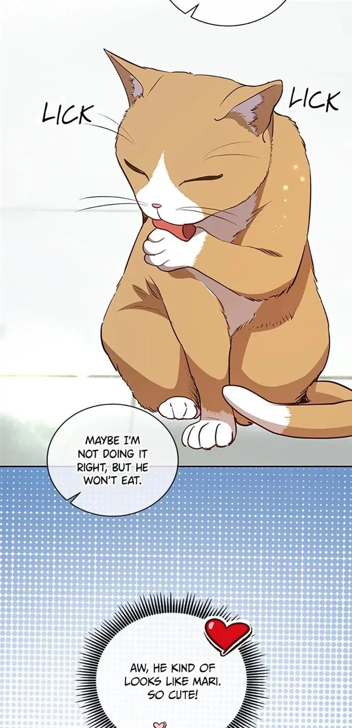 A Suspicious Confession Chapter 20 – Page 9