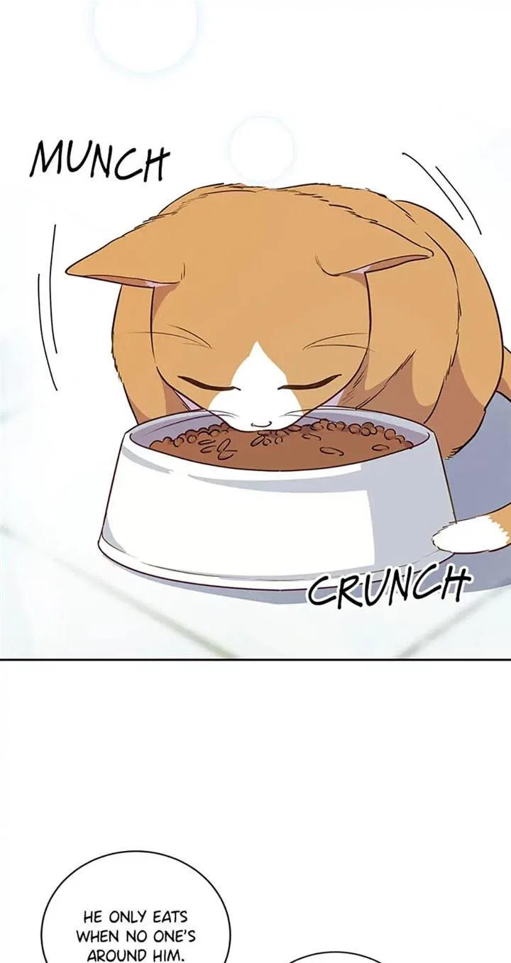 A Suspicious Confession Chapter 20 – Page 18