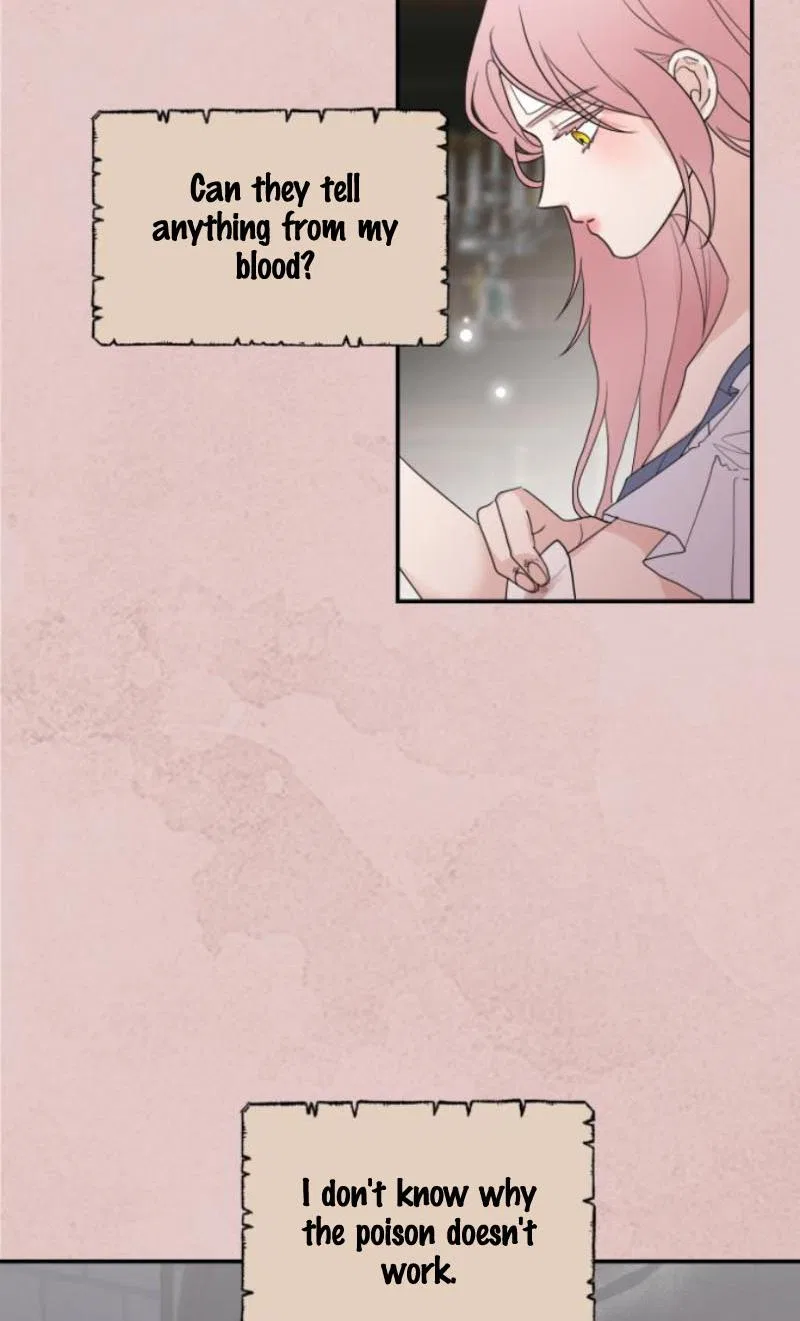 My In-laws are Obsessed With Me Chapter 11 – Page 24