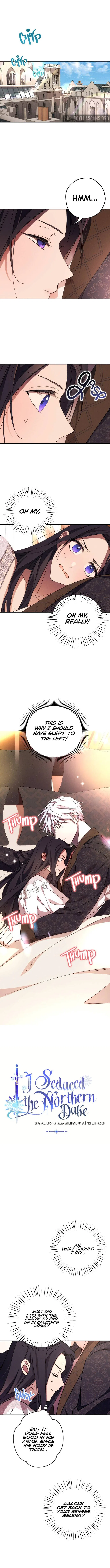 I Will Seduce the Northern Duke Chapter 10 – Page 2