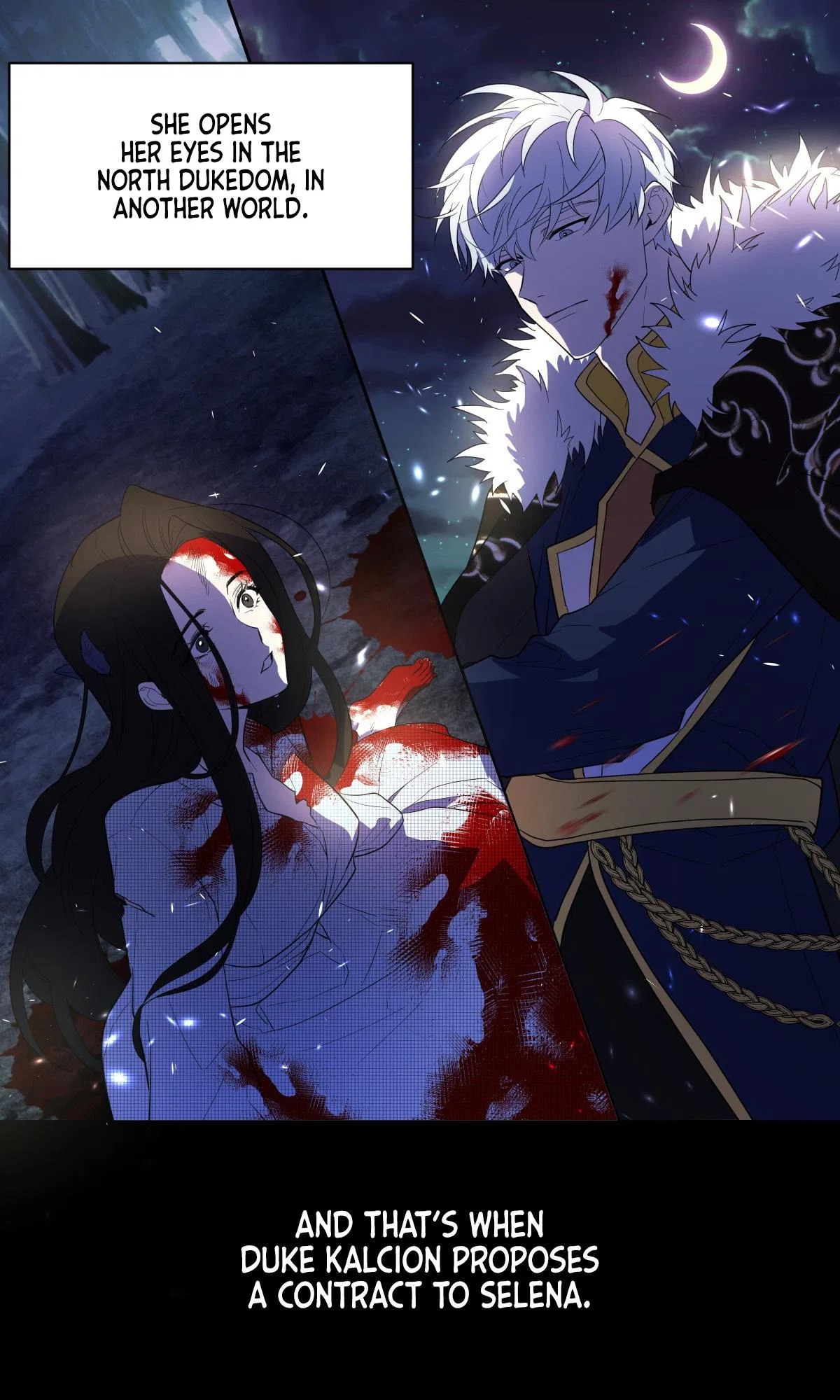 I Will Seduce the Northern Duke Chapter 0 – Page 3