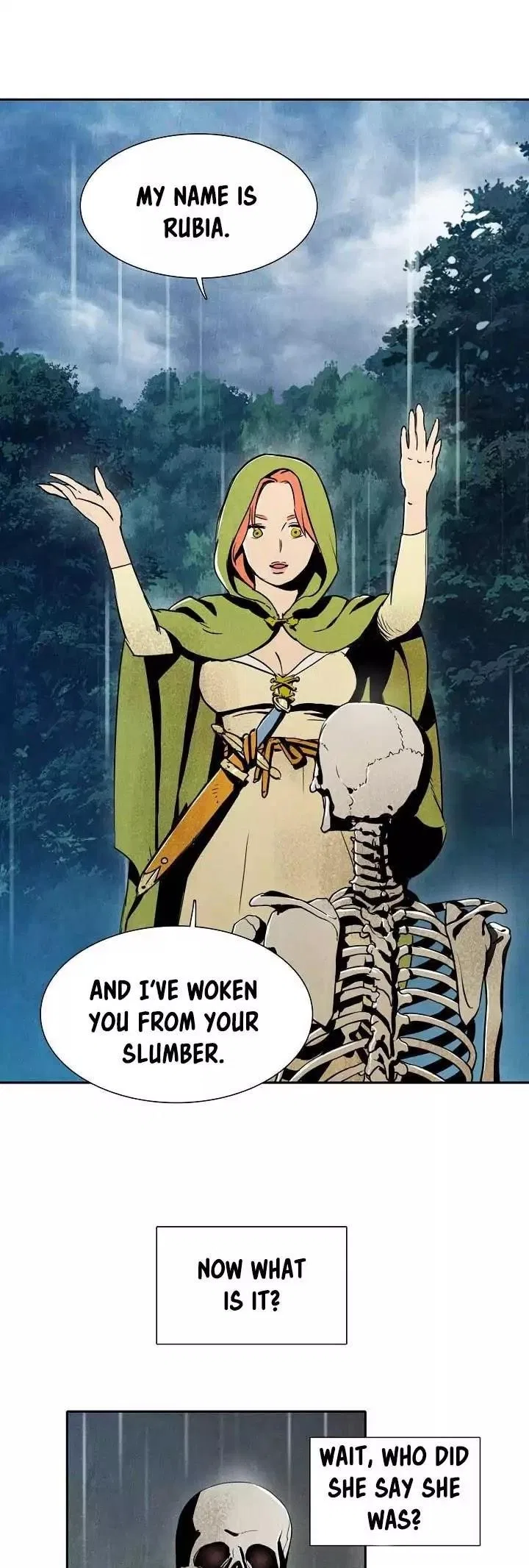 The Skeleton Soldier Failed to Defend the Dungeon Chapter 1 – Page 19