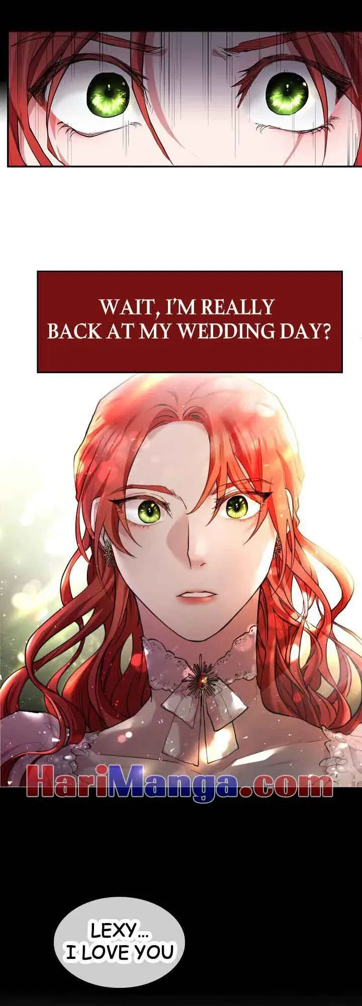 A Villainess’ Revenge Is Sweeter Than Honey Chapter 0 – Page 3