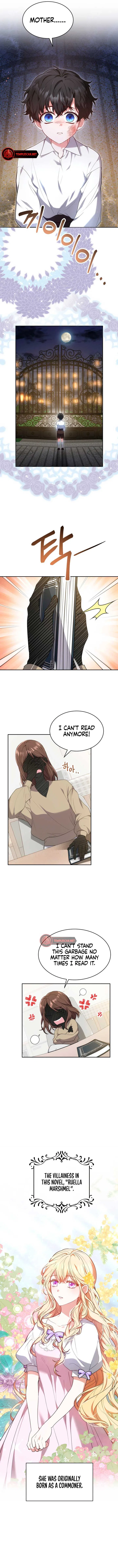 Living as the Villain’s Stepmother Chapter 1 – Page 3