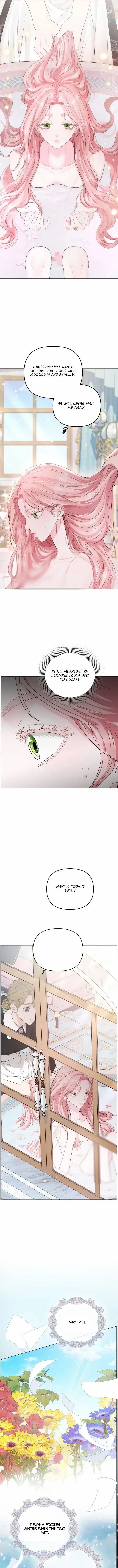 Dear Villainous Husband , the One to be Obsessed with is Over There Chapter 3 – Page 5