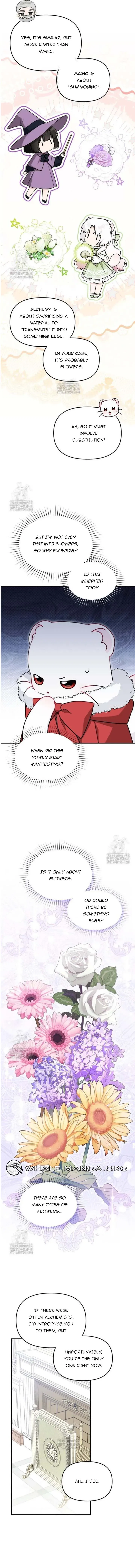 The Villain’s Daughter-In-Law Is a Power Player Chapter 25 – Page 5