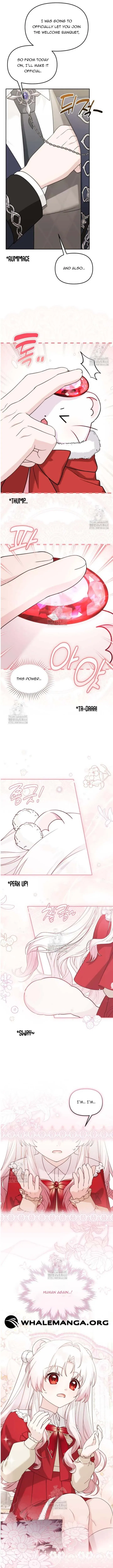 The Villain’s Daughter-In-Law Is a Power Player Chapter 25 – Page 9
