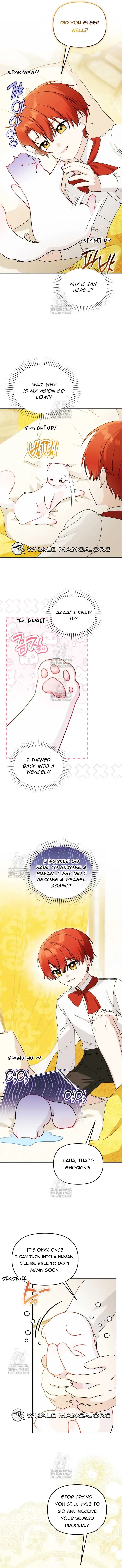 The Villain’s Daughter-In-Law Is a Power Player Chapter 23 – Page 11