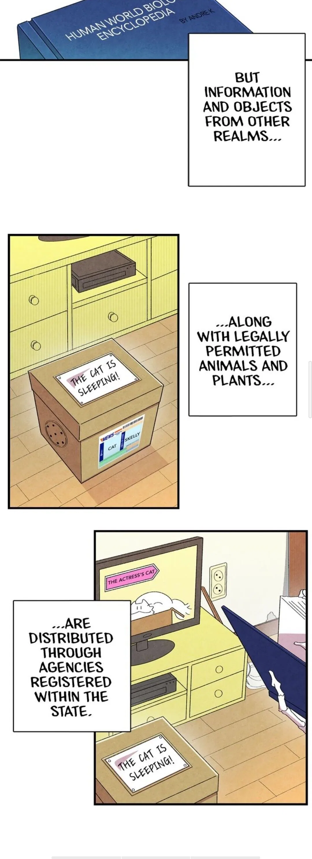 The Skeleton Becomes a Cat Dad Chapter 1 – Page 33