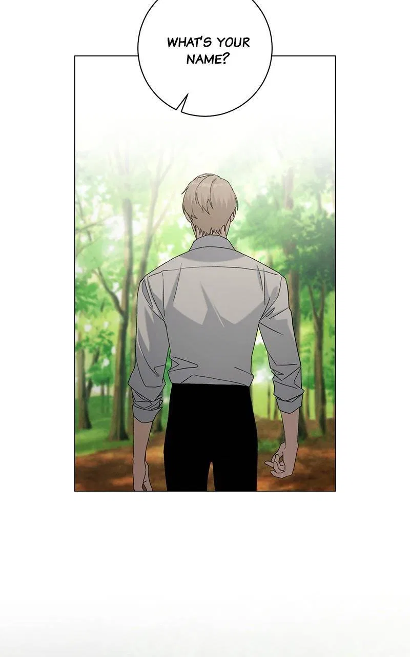 Best Of Luck, Warrior! Chapter 62 – Page 31