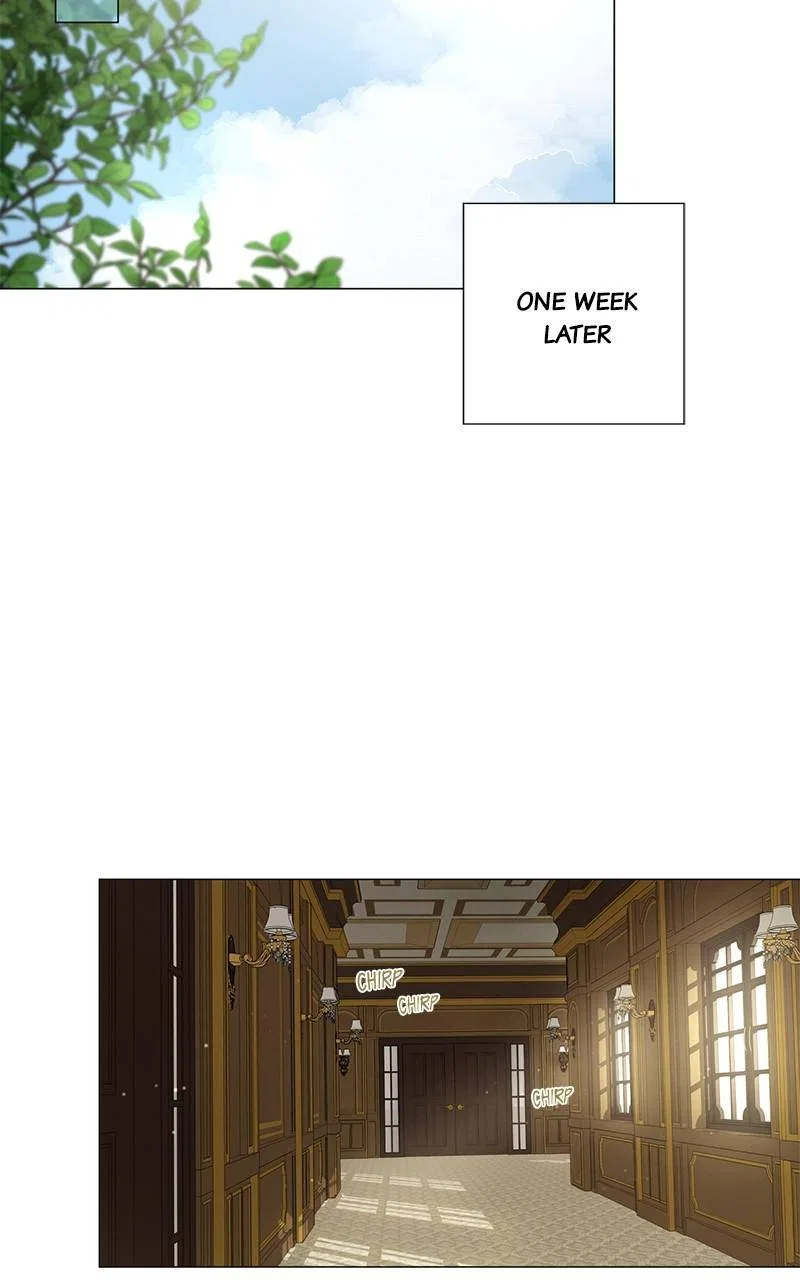 Best Of Luck, Warrior! Chapter 57 – Page 27