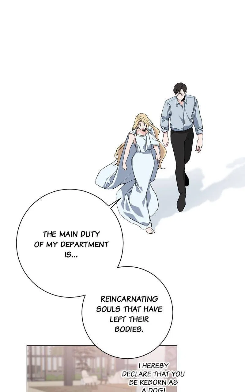Best Of Luck, Warrior! Chapter 53 – Page 27