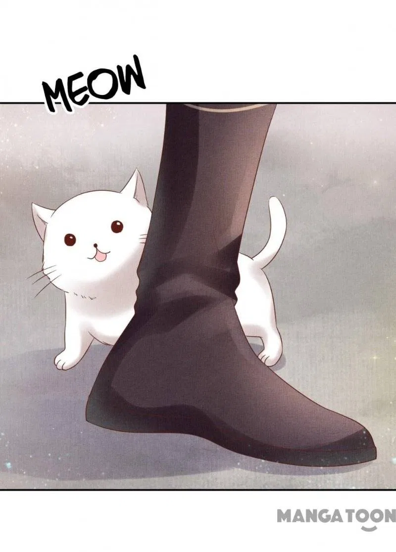 Spoiled Medical Princess: The Legend of Alkaid Chapter 30 – Page 4