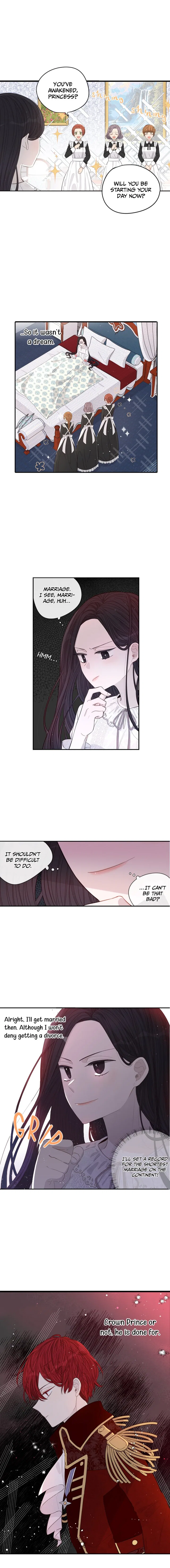 The Black Haired Princess Chapter 2 – Page 3