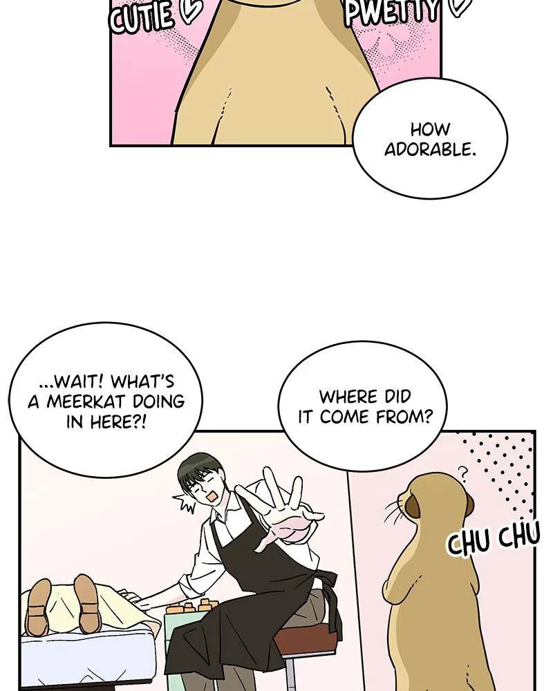 Moonlight Beauty Parlor Chapter 1 – Page 112