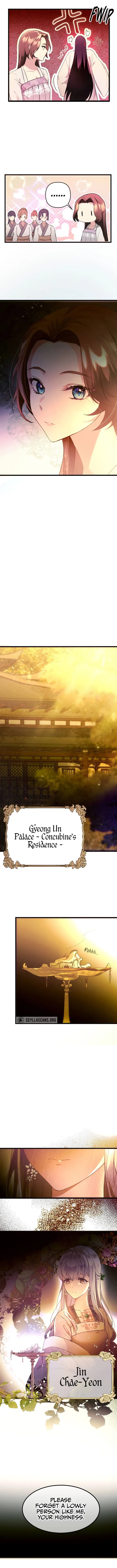 The Blooming Flower in the Palace Is Crazy Chapter 2 – Page 3