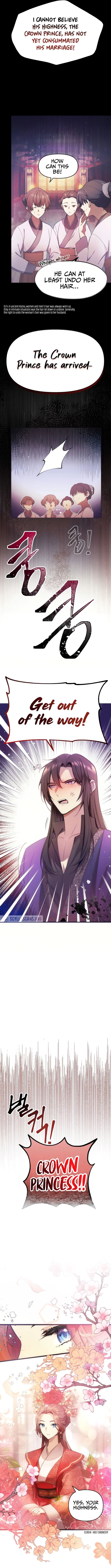 The Blooming Flower in the Palace Is Crazy Chapter 1 – Page 3