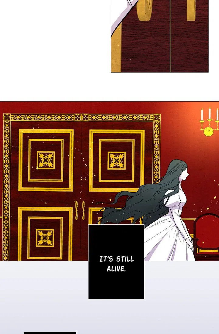 Lady to Queen Chapter 1 – Page 13