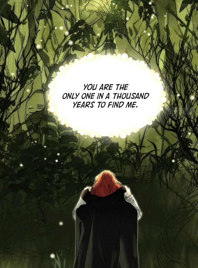 She Tames Heroes Chapter 1 – Page 70