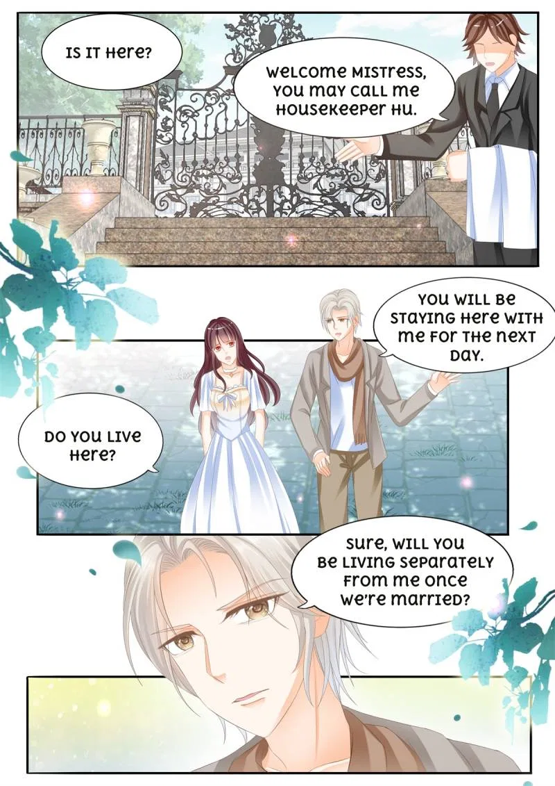 The Beautiful Wife of the Whirlwind Marriage Chapter 4 – Page 5