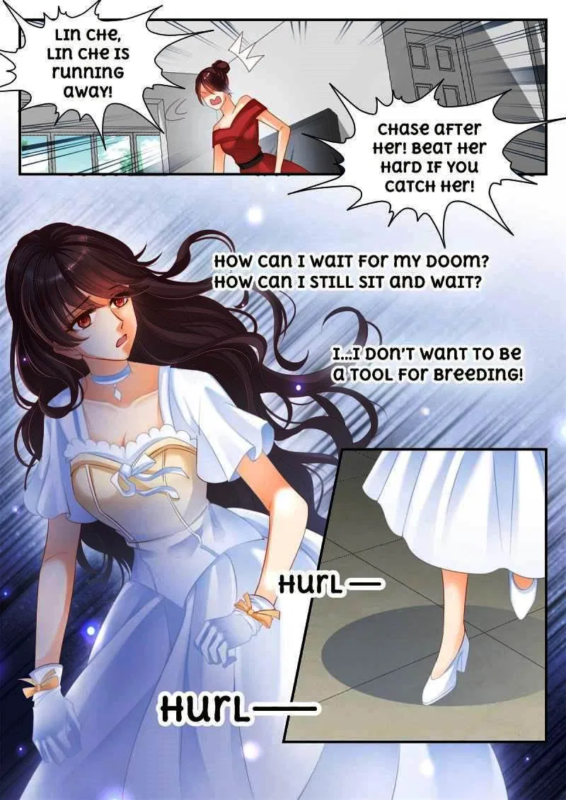 The Beautiful Wife of the Whirlwind Marriage Chapter 3 – Page 6