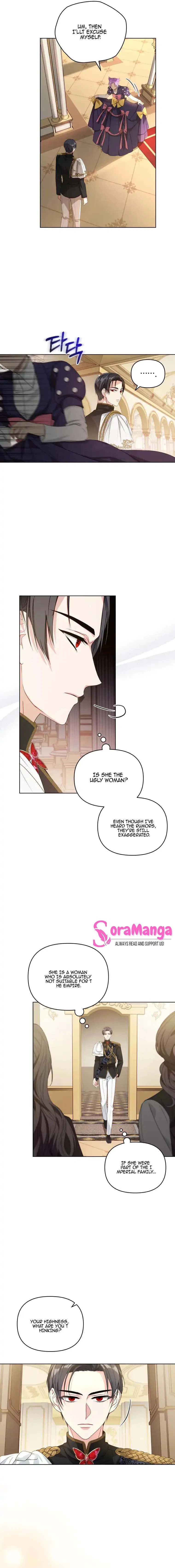 The Ugly Lady’s Secret Pouch Chapter 4 – Page 3