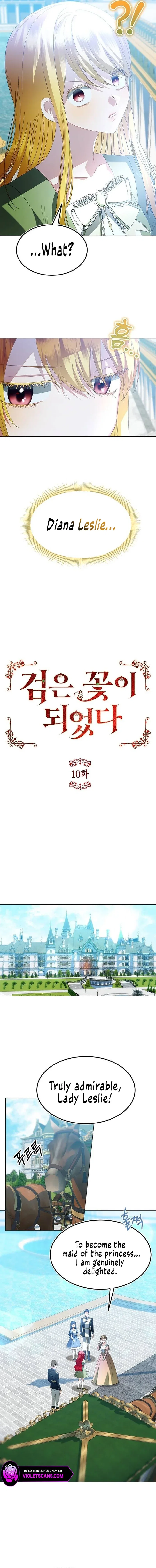 Became a Black Flower Chapter 10 – Page 7