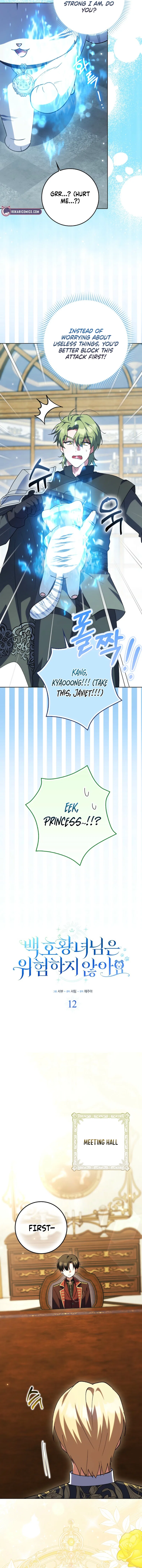 The White Tiger Princess is Not in Danger Chapter 12 – Page 3