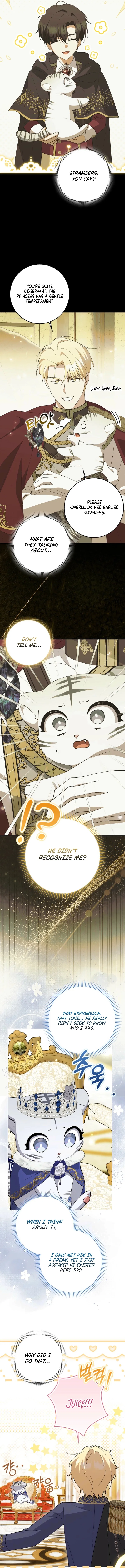 The White Tiger Princess is Not in Danger Chapter 10 – Page 8