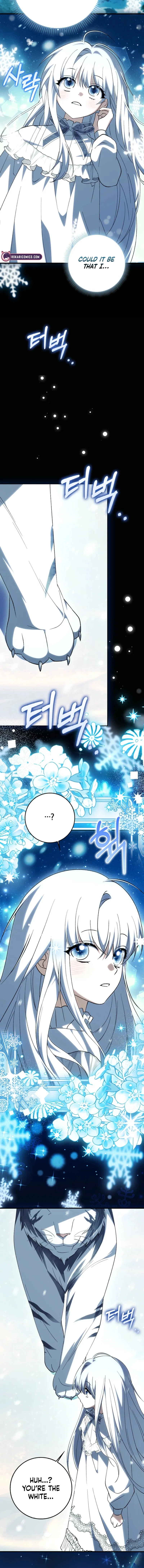 The White Tiger Princess is Not in Danger Chapter 9 – Page 11