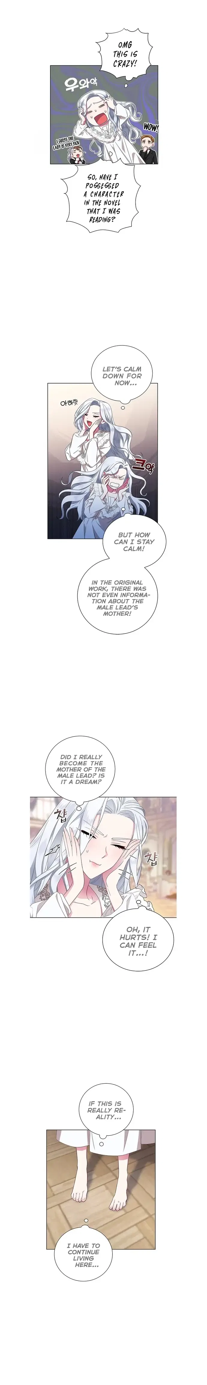 I Became the Mother of the Evil Male Lead Chapter 1 – Page 10