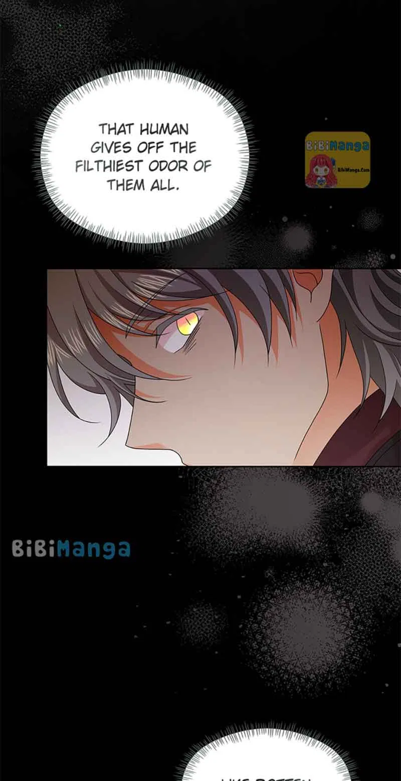 Abella’s Dessert Cafe Chapter 55 – Page 67