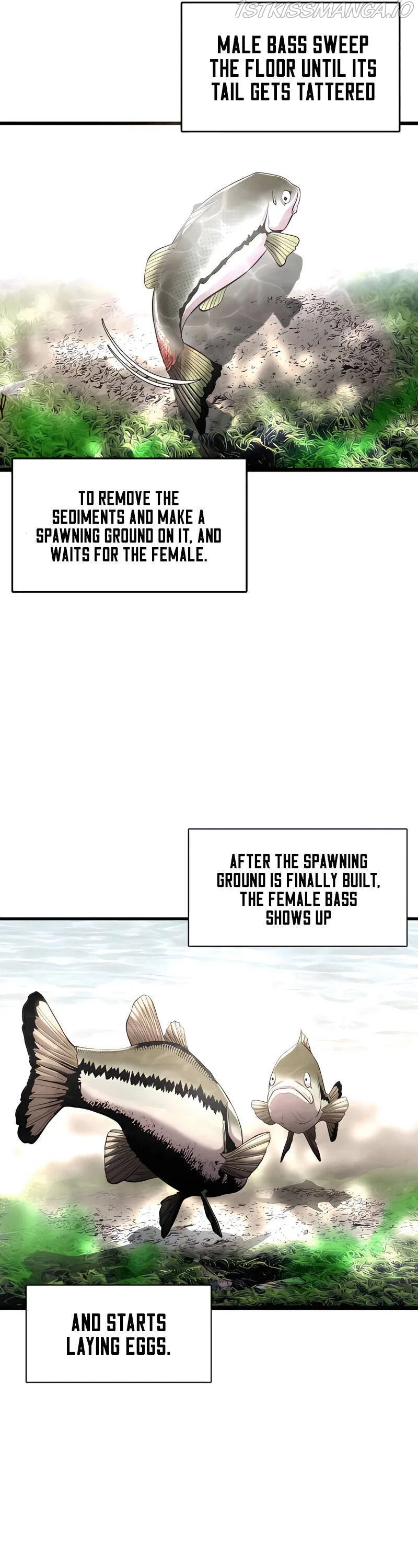 Reincarnated As a Fish Chapter 3 – Page 13